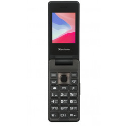 Телефон мобильный Xenium X600, темно-серый [1]